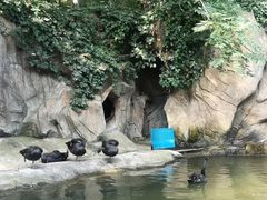-燕塞湖鸟语林景区