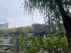 -莲湖公园