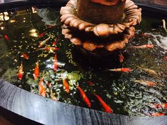 -裕丰源滋补烩面(天赋路店)