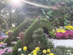 -汇龙潭