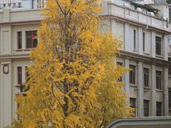 -四川北路(地铁站)