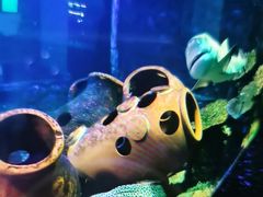 -嘉兴海底世界