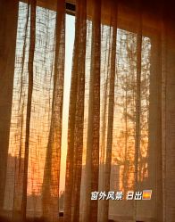 -爱弥儿月子中心(省医院店)