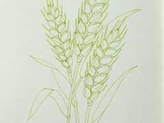 -八哥美术·成人美术画室(总校区)