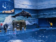 -多彩贵州城极地海洋世界