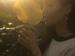 -北京植物园-展览温室
