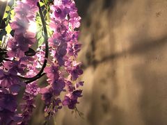 -枫叶林咖啡(华商店)