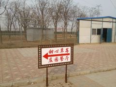 -甜心庄园·甜心草莓采摘园(西青中北店)