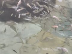 -天目湖涵田半山温泉水乐园