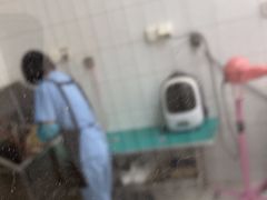 -利又安动物医院··老年病·猫科犬科·中兽医