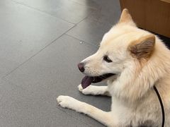 -联合动物医院(光谷诊疗中心)
