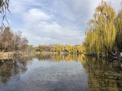 -北京大学赛克勒考古与艺术博物馆