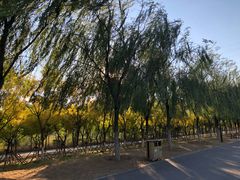 -永定河休闲森林公园