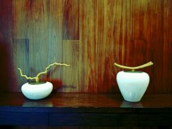 -西安威斯汀大酒店·宴会厅