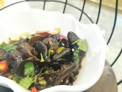 -欢乐海岸美食联盟
