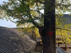 -金堂县云顶石城风景区