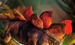 -恐龙探索乐园(磁器口店)