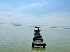 -贡湖湾湿地公园
