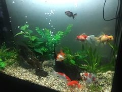 -炭舍干锅·烤鱼(扬名广场店)