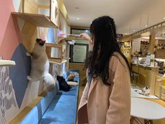 -滚猫咖啡·猫咖·猫友好撸猫(未来城店)