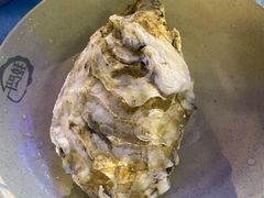 高压锅蒸新西兰青口-千岛蚝高压锅生蚝·人参火锅(白云万达店)