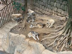 -杭州长乔极地海洋公园