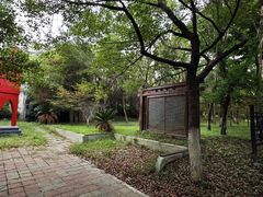 -东平国家森林公园