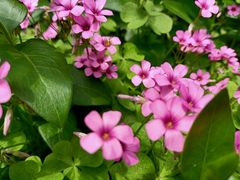 -苏州河梦清园环保主题公园