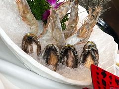 -纯味斑鱼府(中海环宇荟店)