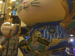 -more than meow吴止猫主题餐厅(承德 中船汇店)
