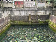 -王氏凉糕(总店)