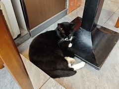 -汉思肴 热面皮(虬江路店)