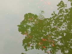 -宝通禅寺