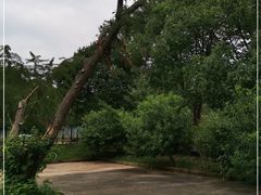 -雨花胜境