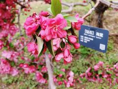 -国家植物园