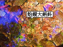 -云岫谷游猎自然风景区