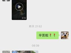 -睿金宠物医院·CT·肿瘤·骨外科