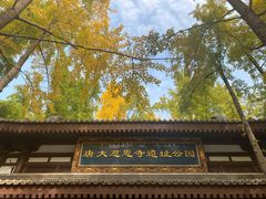 -大慈恩寺(大雁塔)