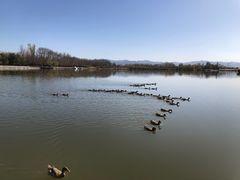 -野鸭湖国家湿地公园