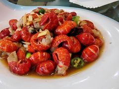 -正阳春鸭子楼(汉沽店)