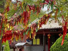 -石岛赤山风景区