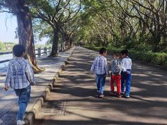 -大湾区中央湿地公园