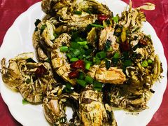 -品雅轩农家乐