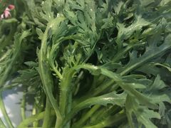 茼蒿-九府羊·鲜羊火锅·烤串(新华路店)