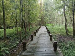 -桤木河湿地公园