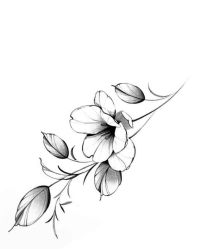 -针牛刺客·刺青纹身