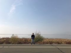 -哈素海