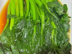 -莱莱小笼·乔艾