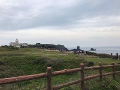 -涉地可支
