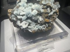 -湖南省地质博物馆